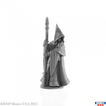 Anirion, Elf Wizard (Reaper Legends)