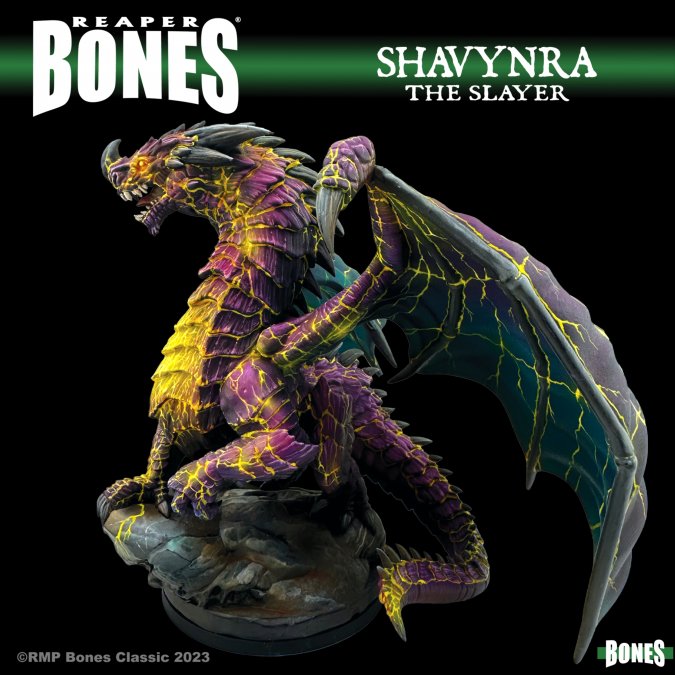 Shavynra the Slayer Deluxe Boxed Set