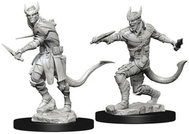 NMM: Male Tiefling Rogue